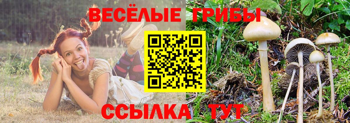 Удомля  Псилоцибиновые грибы Magic Shrooms  Псилоцибиновые грибы прущие грибы  Вход с VPN 