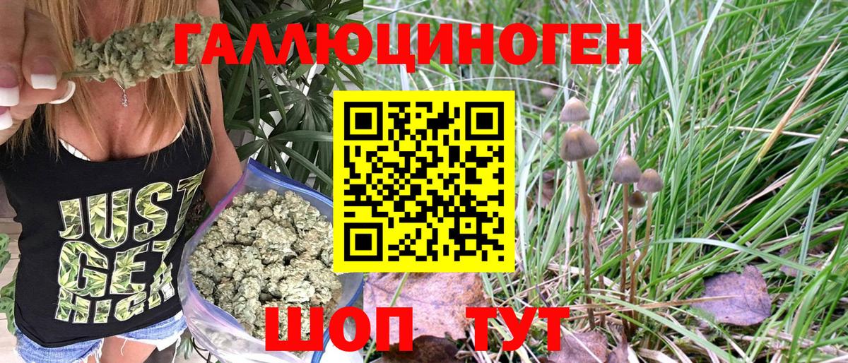 Псилоцибиновые грибы Magic Shrooms Удомля